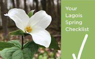 Lagois Spring Checklist