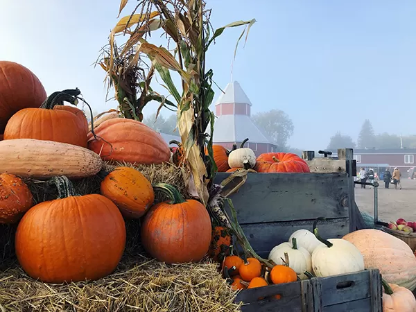 Fall in ottawa